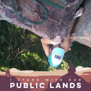 Meet your Posher, Guinevere